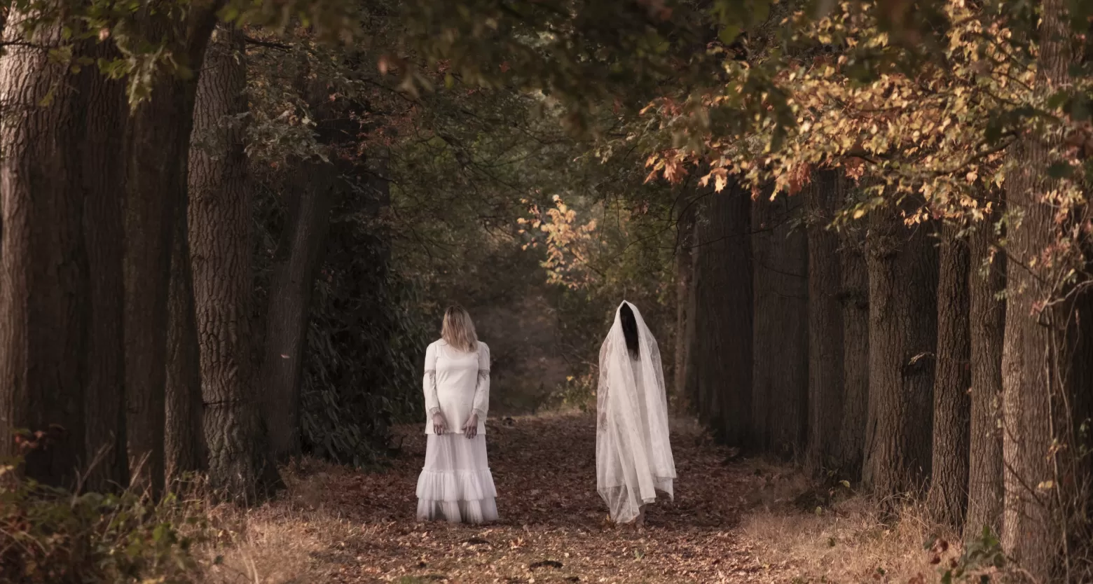 Een bos waarin twee duistere vrouwen in witte gewaden op een pad staan. Echte Witte Wieven.
