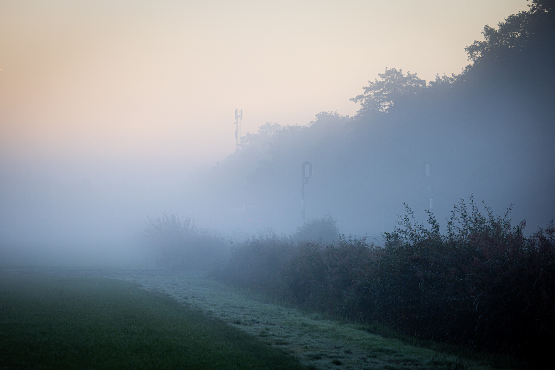 Een spoorweg met bomen in de mist die je ook Witte Wieven kunt noemen